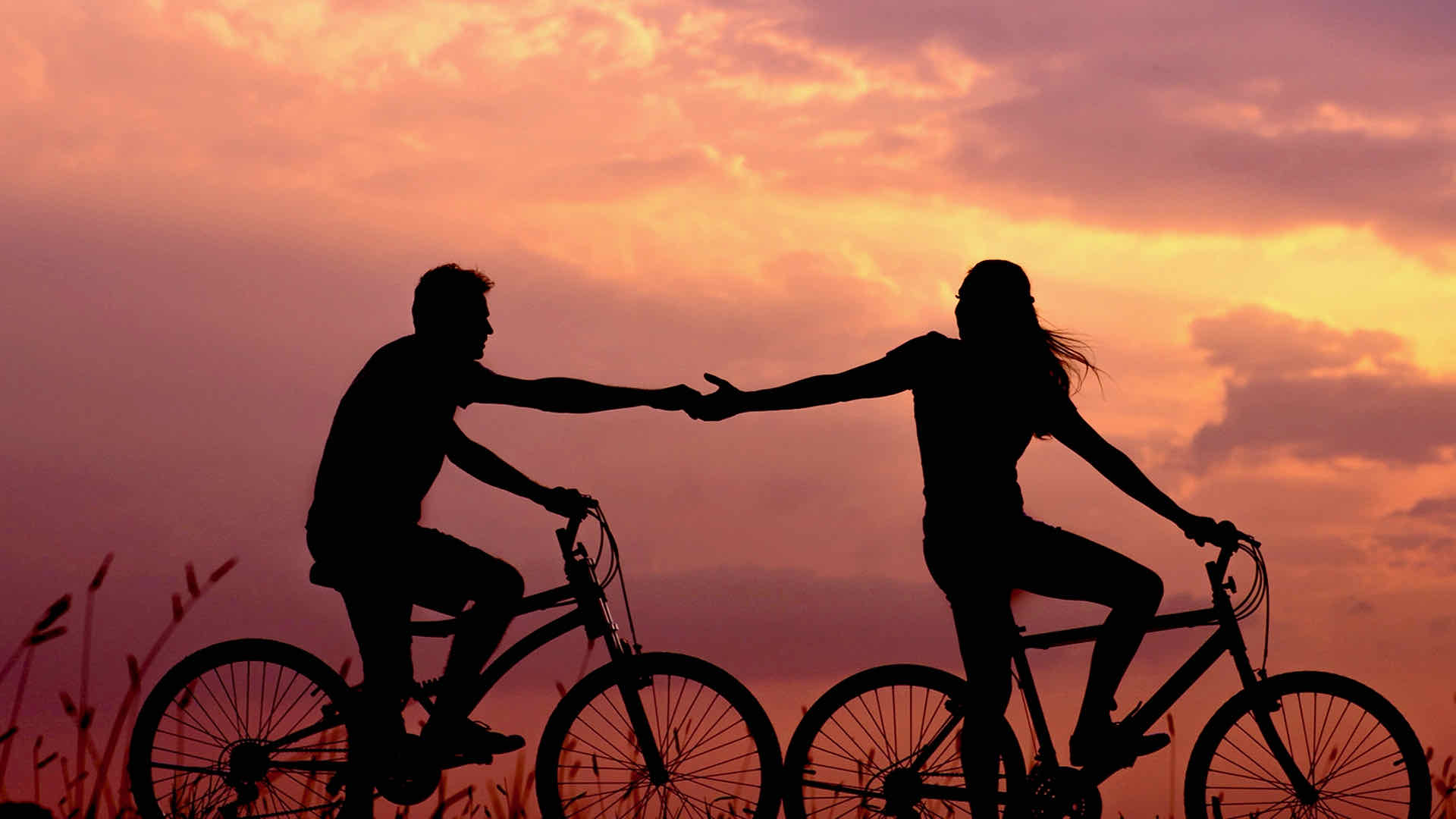 Holding hands on bicycles
